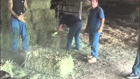 Hay - Unloading and stacking