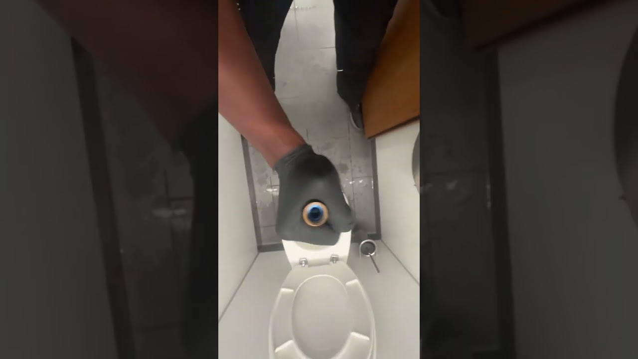 Как прочистить туалет с помощью сливных стержней