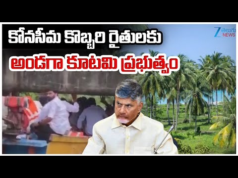 NDA Government Stands by Konaseema Coconut Farmers | CM Chandrababu | Zee Telugu News - ZEE24TELUGUNEWS