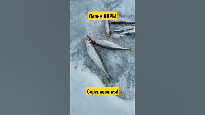 Ловим КОРЬ и СОРЕВНУЕМСЯ! ПРИЗ по СОТКЕ скинулись😱 #васярыбаков #рекомендации #корюшка
