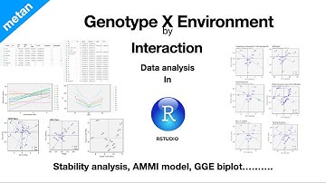 Stability analysis in R | Genotype X Environment interaction | Fixed effect models (AMMI) | GGE plot