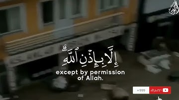 مَا أَصَابَ مِن مُّصِيبَةٍ إِلَّا بِإِذْنِ اللَّهِ ۗ  - (آيات من سورة التغابن) - القارئ رعد الكردي
