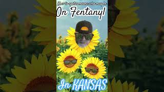 how to spot someone under the influence of fentanyl in KANSAS