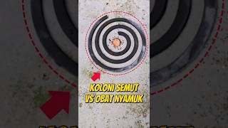 SEMUT VS OBAT NYAMUK, SIAPA YANG MENANG? 🐜☢️ #eksperimen  #semut #semutpemburuberkah #obatnyamuk