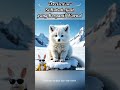 Si penyamar ulung yg berubah warna sesuai musim #ArcticFox #EdukasiMotivasi #FaktaHewan #VideoViral