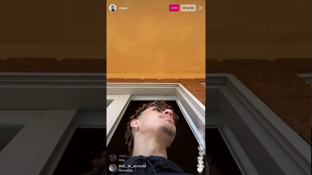 Lamelo Ball playing with his dogs YouTube