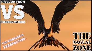 Freedom From vs Freedom Within - The Nagual Zone | Don Juan Matus | Carlos Castaneda