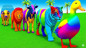 سورة البقرة - تلاوة مرتلة بصوت الشيخ ياسر الدوسري