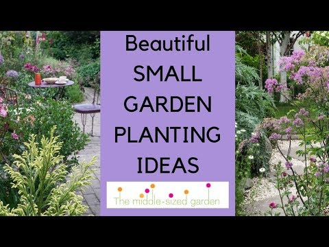 Small garden planting ideas...plants for narrow or small gardens