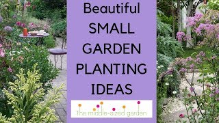 Small garden planting ideas...plants for narrow or small gardens screenshot 3