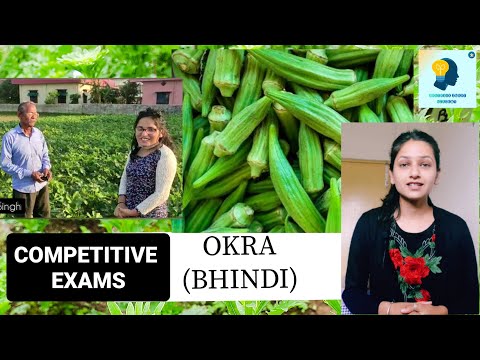 Video: Okra - African From The Malvaceae Family