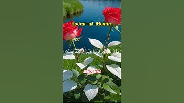 #القرآن#القرآن_الكريم#تلاوات#تلاوة_خاشعة#تلاوة_هادئة#سورۃ#المؤمن#قاری#خالد_الجليل#fyp#viral#virals