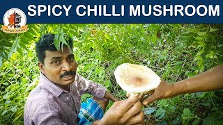 Delicious spicy mushroom  | Mushroom Recipes | How to Clean Mushrooms | Mams Krishnan