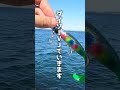 サーフの聖地三重サーフで手にした魚は最高だった #shorts #釣り #fishing