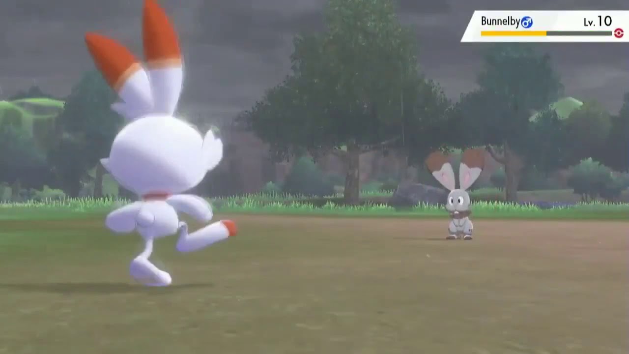 Pokemon Sword And Shield High Quality Animations