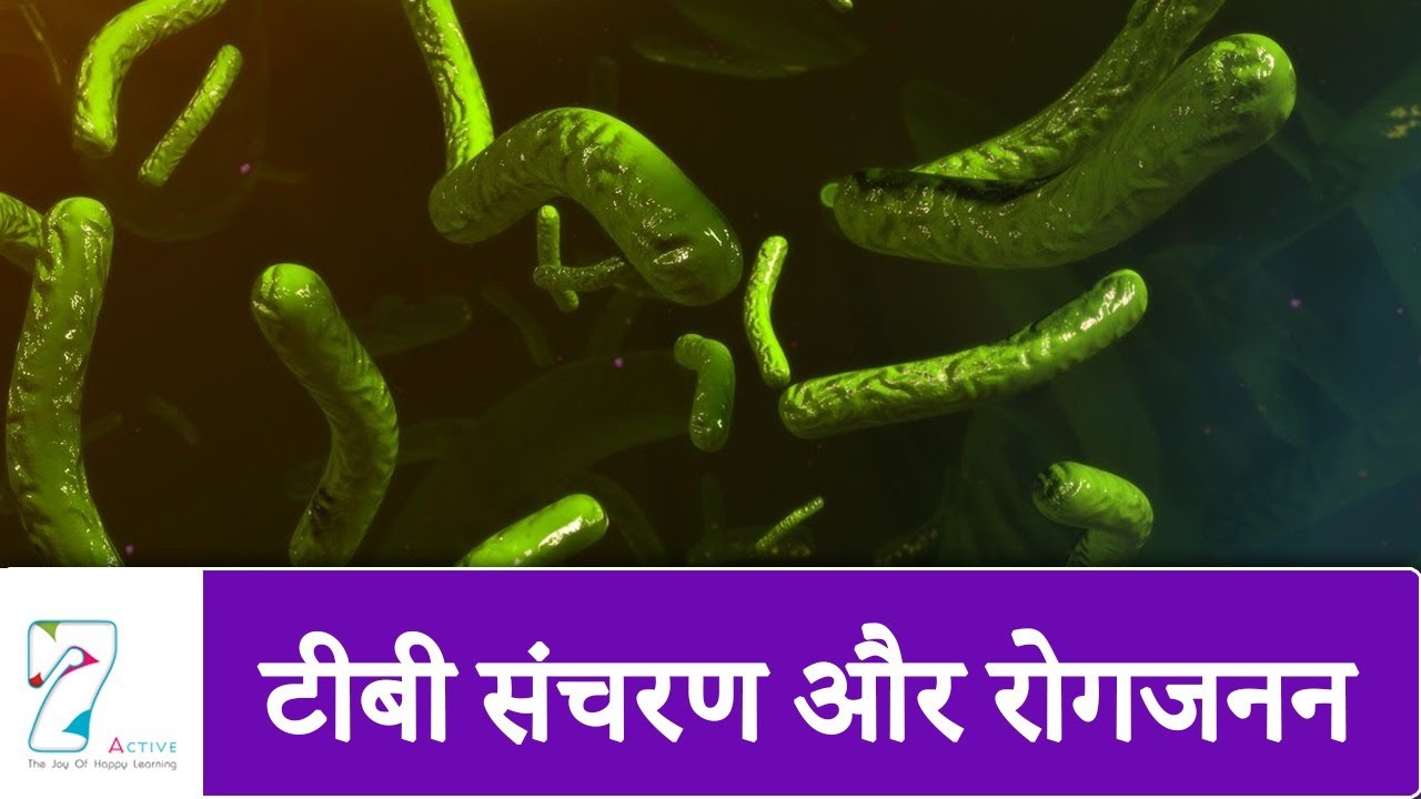 टीबी संचरण और रोगजनन | TB TRANSMISSION & PATHOGENESIS | Hindi