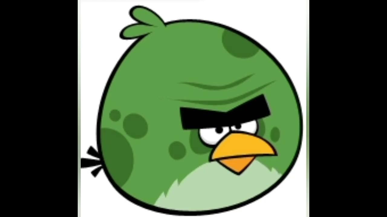 Birds 2d. Энгри бердз зеленая птичка. Зеленый Теренс. Терренс Angry Birds. Птица Теренс из Энгри бердз.