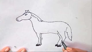 horse easy step drawing sketch draw beginners steps children drawings sketches paintingvalley