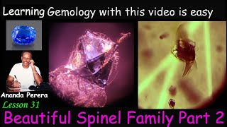L 31 E | The Beautiful Colors of Spinel Family | Spinel Family | Spinel Family Vlogs