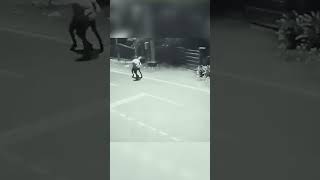 ТЕНЬ ЗАЩИТИЛА ЧЕЛОВЕКА ОТ НАПАДЕНИЯ!
