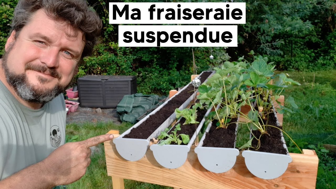 Je m'installe une fraiseraie suspendue