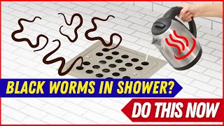 How to Get Rid of Little Black Worms in Shower 🚿😱
