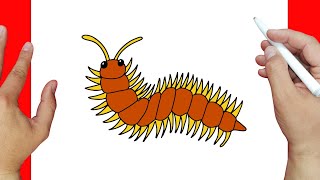 Cómo Dibujar Un Ciempies Paso A Paso Dibujos Fáciles