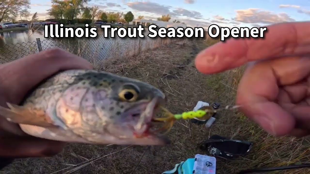 Открытие сезона ловли форели в Иллинойсе 2025 (есть лимит!!)