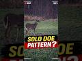 Late Season Doe Herding Shift? Food Plot Pattern Change Caught on Cam