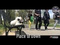 4-Year Old Lhasa Apso with Aggression | Aggression Dog Training | Off Leash K9 Training 4-Year Old Lhasa Apso with Aggression | Aggression Dog Training | Off Leash K9 Training