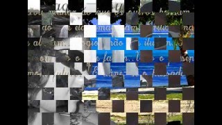 Migas Forever Perfect