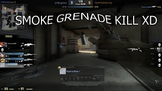 cs go funny - smoke grenade kill xD