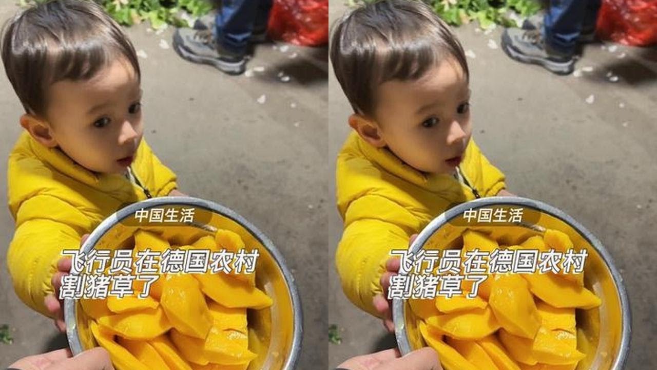 德国飞行员大罢工，我老公在四川割猪草码长城……#飞行员 #四川 #vlog十亿流量扶持计划