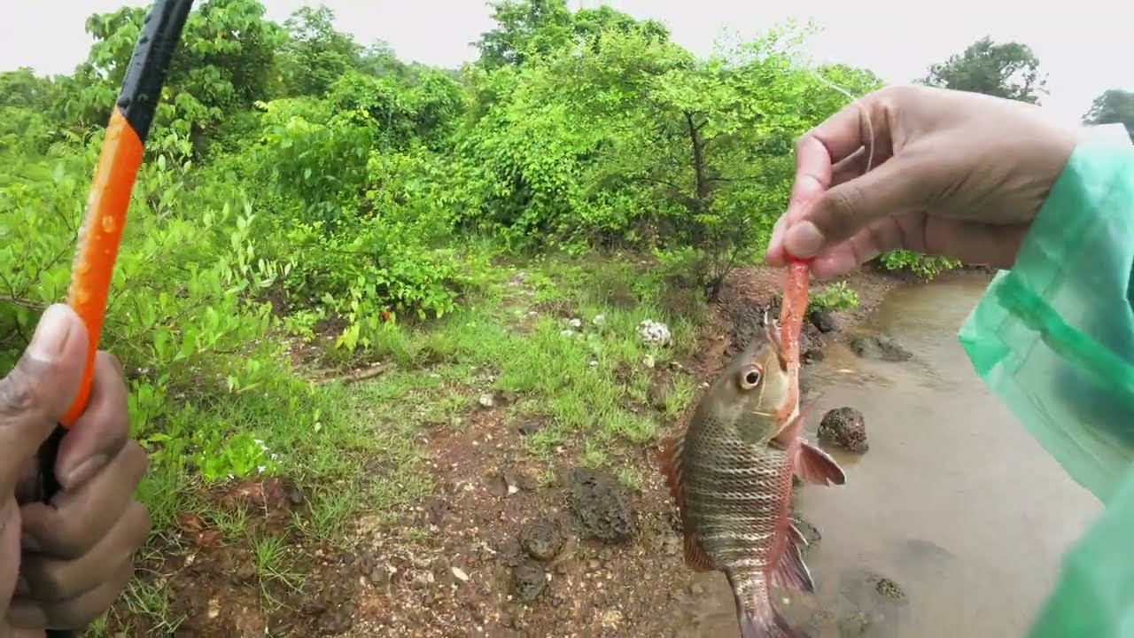 बाटलीने मासे पकडायचा प्लॅन फसला लुअर फिशिंगला मासे भेटले |The plan to catch mullets in bottle failed