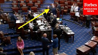 Lindsey Graham Returns To Senate After COVID-19 Diagnosis In Mask, Votes 'Yes' On Infrastructure
