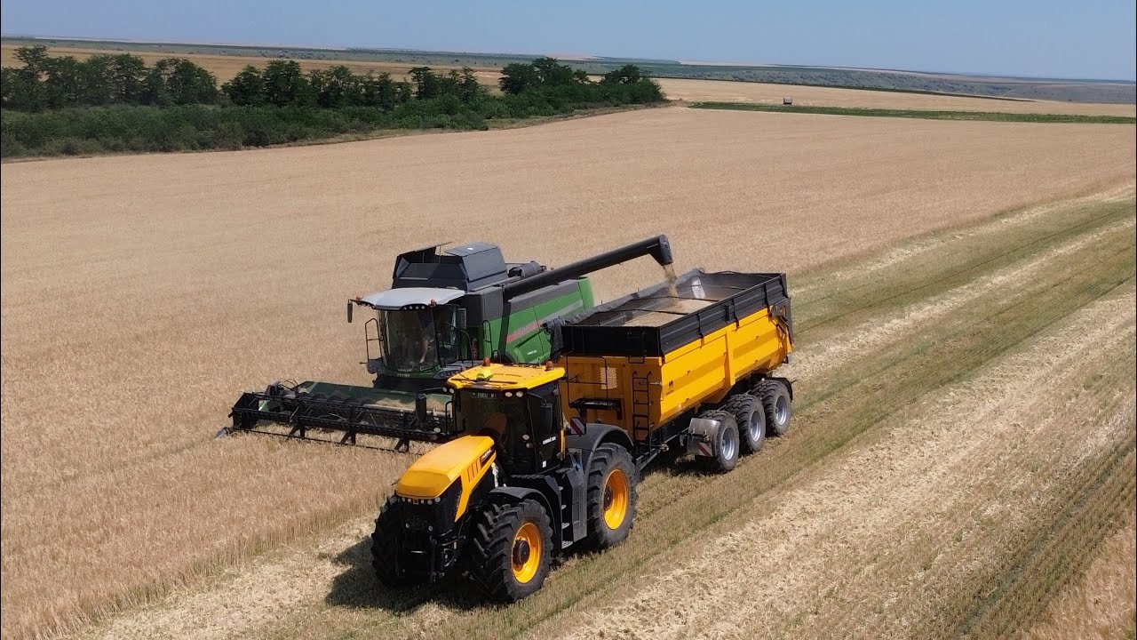 #dailyvlog AM ÎNCEPUT RECOLTATUL!