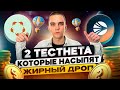 HUMANITY PROTOCOL И SONIC | ДВА ТЕСТНЕТА КОТОРЫЕ РАЗДАДУТ ЖИРНЫЙ AIRDROP | Подробный Гайд |