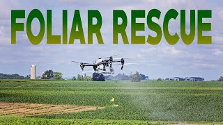 Spraying the Local Corn Maze | Vesperman Farms Corn Maze | DJI T50 From Agrispray