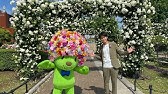 公式 山下公園 未来のバラ園春 開花状況 5 7 Youtube 公式 山下公園 未来のバラ園春 開花状況 5 7 Youtube