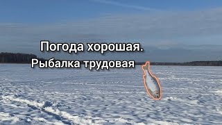 Погода отличная а рыбалка трудовая. .