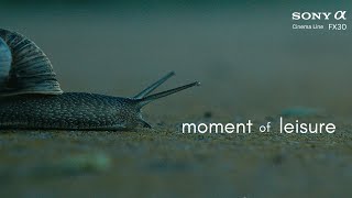 moment of leisure | Sigma 18-50MM F2.8 | SONY FX30 | 4K Cinematic Nature Film