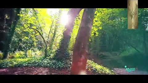 ترتيل وشرح الربع الرابع 04 من الحزب 30 من : { سورة الكهف }