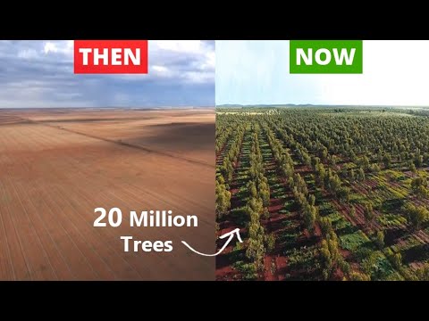 Video: Waren woestijnen vroeger bossen?