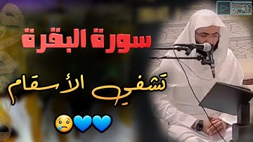 سورة البقرة | لايملك الإبداع أن يزيد شيئاً على هذا الترتيل المؤثر بصوت القارئ أحمد البشر