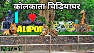 Kolkata Zoo | Zoological Garden Alipore | कोलकाता चिड़ियाघर | Kolkata West Bengal