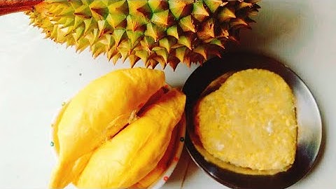 Cách Làm XÔI SẦU RIÊNG Nước Cốt Dừa Thơm Ngon - bằng nồi cơm điện | Thảo Phan Vlog