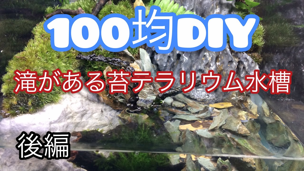 100均diy 滝がある苔テラリウム アクアリウム Youtube