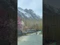 Ghizer Valley, Gilgit Baltistan Pakistan! #ghizervalley #gilgitbaltistan #shorts #viralvideoシ