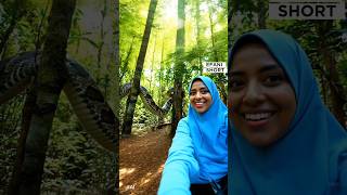 Amazing snake &amp; Crab❗#ai #horror #shorts #animals