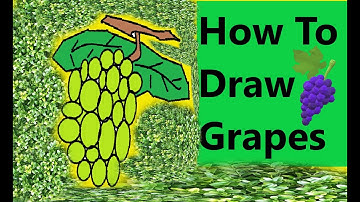 How To Draw  Grapes ||  Very Easy || Step By Step||  In Computer||